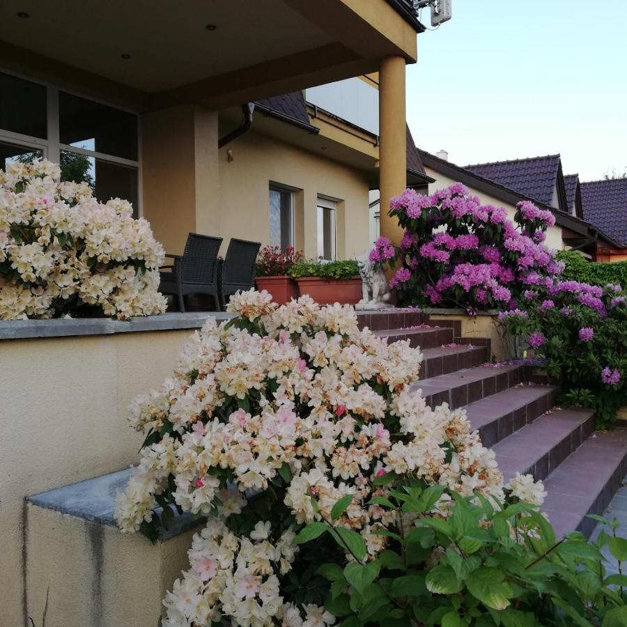 Rezident Consult S.R.O. Hotel Pozsony Kültér fotó